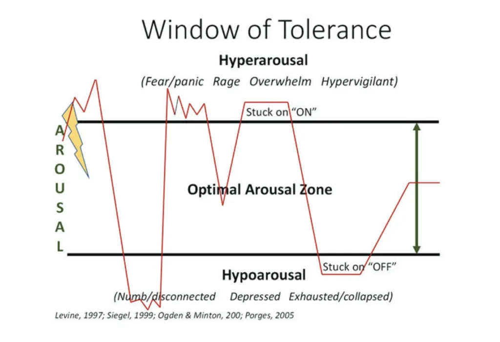 Nervous System Informed Care Window Of Tolerance