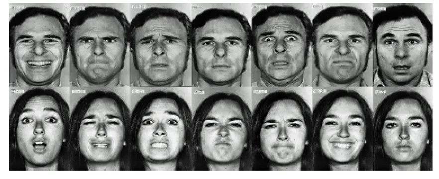 Pictures Of Universal Emotions Eckman