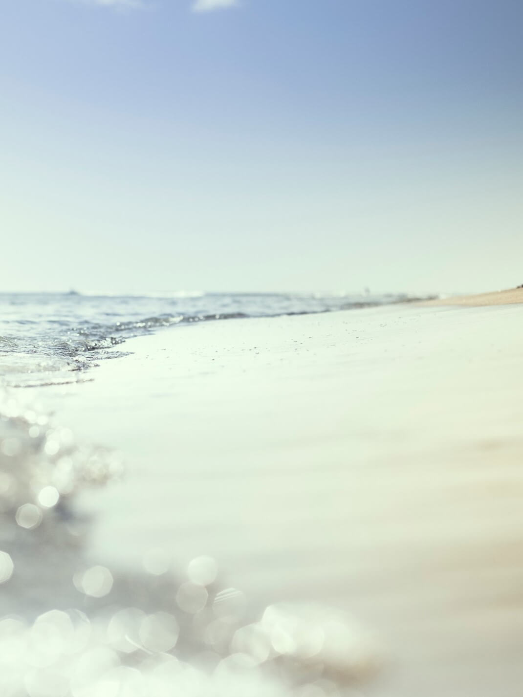 Upwards Roots Located In Carlsbad Ca Beachfront