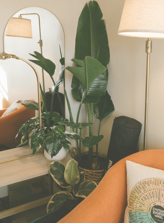 Upward Roots Office Background