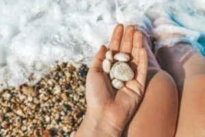 Blog Why Tracking Sensation Heals Trauma A Somatic Parts Work Approach